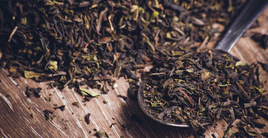 The Ancient Powers of Green Tea for Today’s Skin
